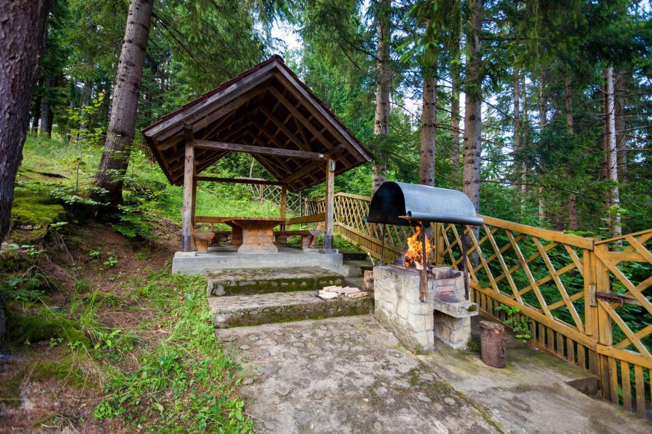 Альпина Hotel Yaremche Exterior foto