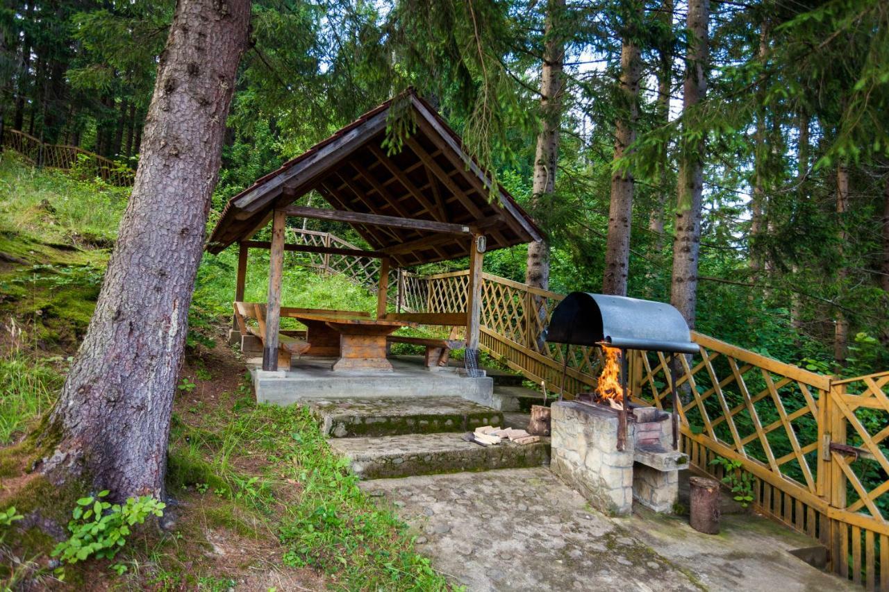 Альпина Hotel Yaremche Exterior foto