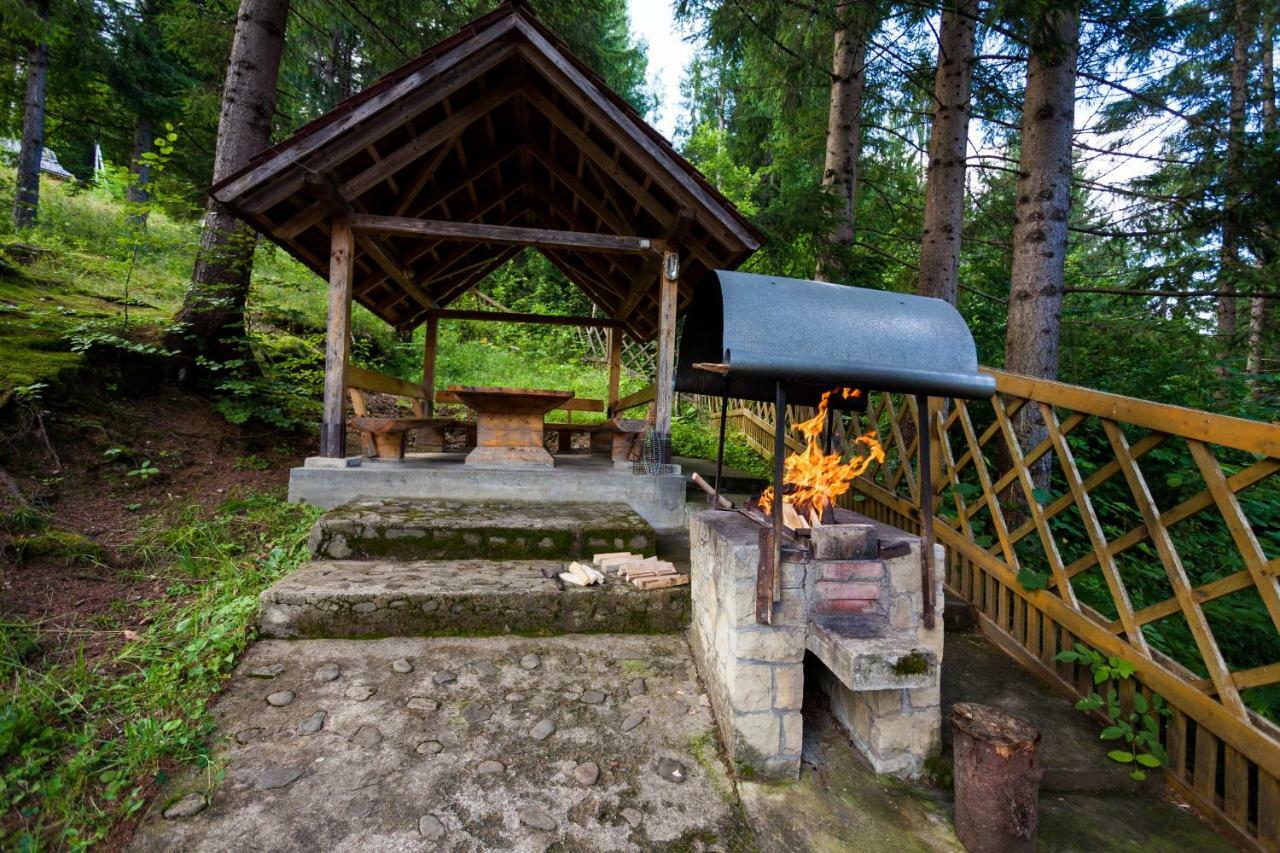 Альпина Hotel Yaremche Exterior foto