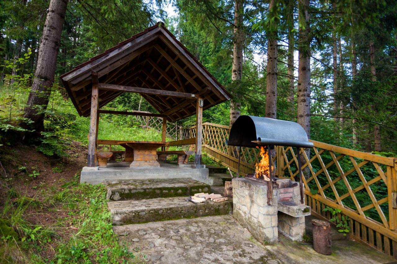 Альпина Hotel Yaremche Exterior foto