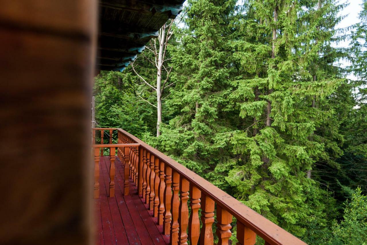 Альпина Hotel Yaremche Exterior foto